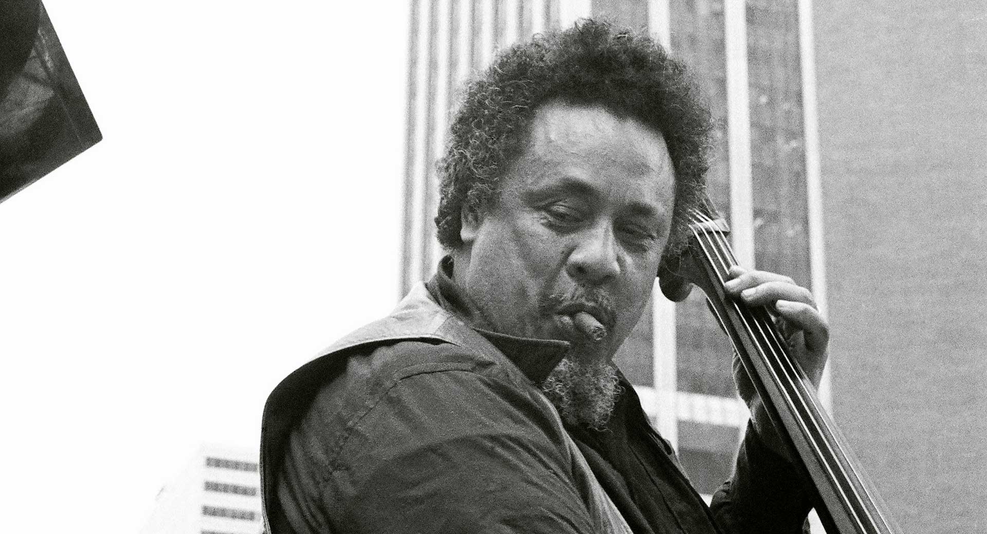 The Mingus Article
